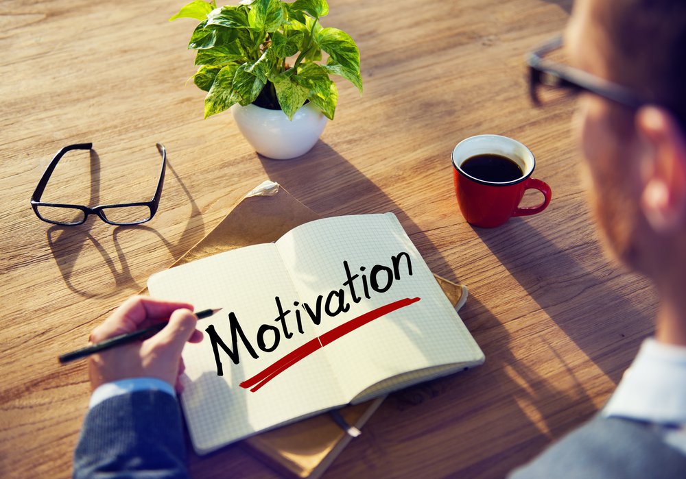 Lettre Motivation Analyste Développeur